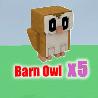 Barn Owl