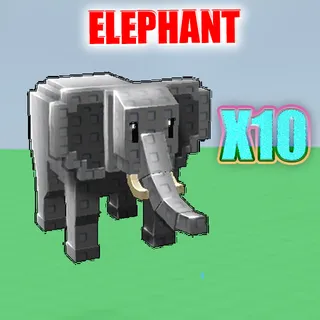 Elephant
