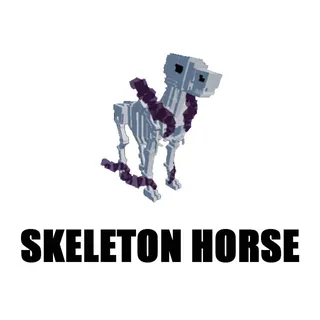 Skeleton Horse