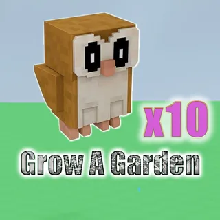 Grow A Garden barn owl