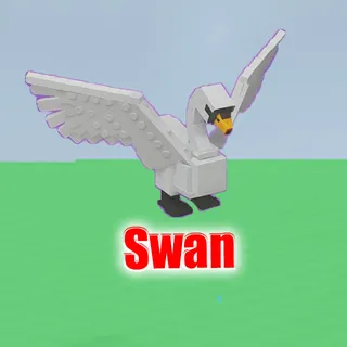 Swan