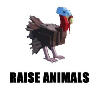 Raise Animals