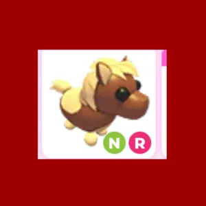 NR dark brown pony