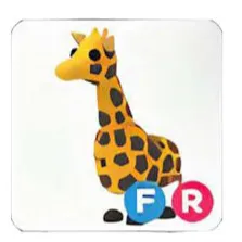 Fr Giraffe