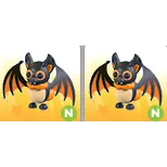 2X INDIAN FLYING FOX