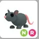 NR RAT