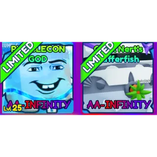 Dual AA-infinity bundle