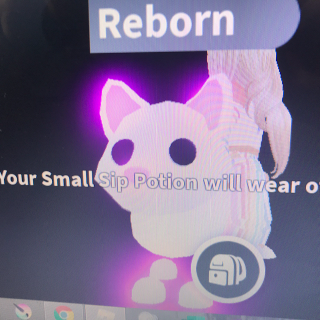 Pet Adopt Me Neon Arctic Fox In Game Items Gameflip - roblox arctic fox adopt me