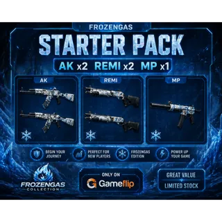 Starter Pack (AK x2 + REMI x2 + MP x1) | Fast Delivery |
