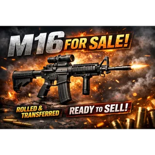 M16