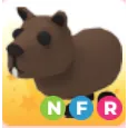 nfr capybara