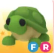 fr turtle