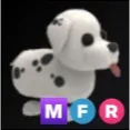 MFR Dalmation