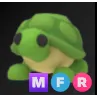 MFR Turtle