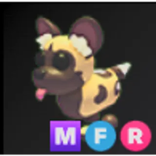 MFR African Wild Dog