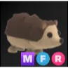 MFR Hedgehog
