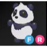 FR Giant Panda