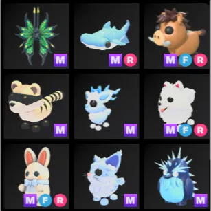 Mega Bundle