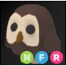 NFR Owl