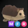 MFR Hedgehog