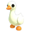 Nfr Goose