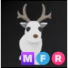 MFR Arctic Reindeer