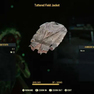 Tattered Field Jacket
