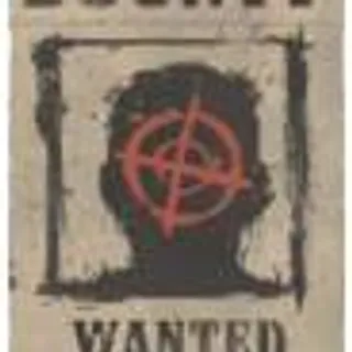 15 Wanted Posters I'll carry you