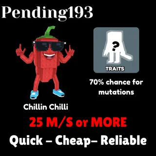 Chillin Chilli