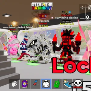 STB  Bundle