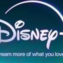 $300.00 DISNEY + GIFT CARD
