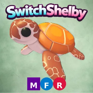 MFR SEA TURTLE/MEGA FLY RIDE SEA TURTLE