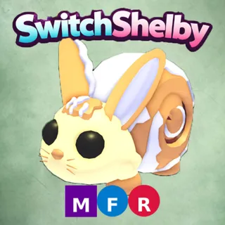 MFR BUNNY SWIRL/ MEGA FLY RIDE BUNNY SWIRL