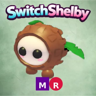 MR COCONUT FRIEND/MEGA RIDE COCONUT FRIEND