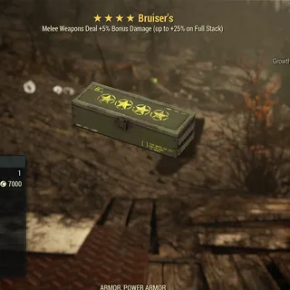 Bruisers Box Mod x5