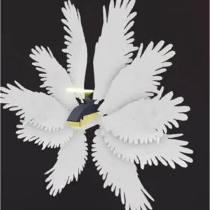 4x Seraphfin - fisch