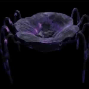 Toxic Widow Bloom - fisch 