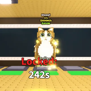 1X MEOWL SAB