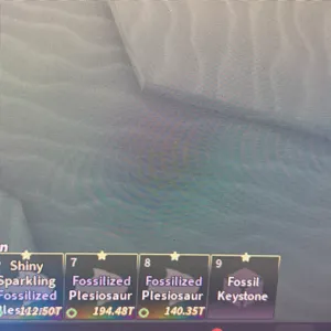 1x Fossilized Plesiosaur