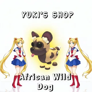 African Wild Dog