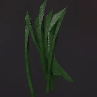 Putrid Seaweed - FISCH