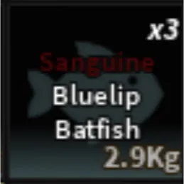 Sanguine Bluelip Batfish - Fisch