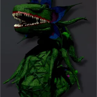 NOXIOUS ROTBLOOM- FISCH