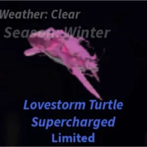 1x Sacred Lovestorm Turtle - Fisch