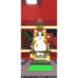1X MEOWL SAB