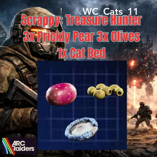 Scrappy Treasure Hunter