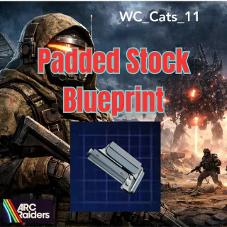 Padded Stock Blueprint