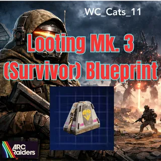Looting Mk3 Survivor Blueprint