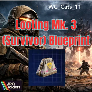 Looting Mk3 Survivor Blueprint