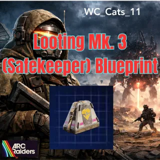 Looting Mk3 Safekeeper Blueprint